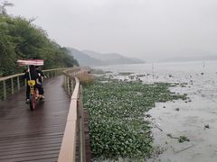 -东钱湖旅游度假区
