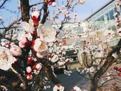 -大连外国语大学(旅顺校区)