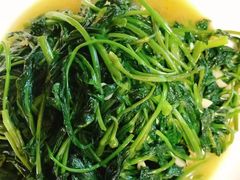 -巧妈月嫂•育婴师(兰州中心店)