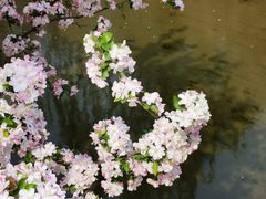 -海棠花溪(元大都城垣遗址公园)