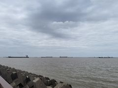 -上海滨江森林公园