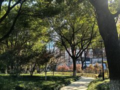 -大关公园