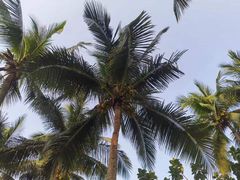 -石梅湾艾美度假酒店