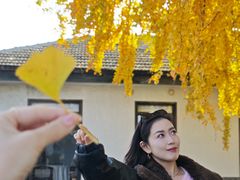 -自如ZSPACE四合院艺术餐厅