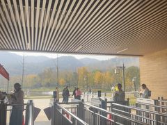 -千年银杏谷文化旅游区