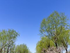 -绿堤公园