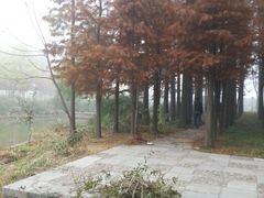 android_upload_pic-采石矶景区