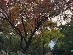 -千佛山风景名胜区