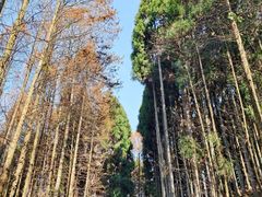 -山王坪喀斯特国家生态公园