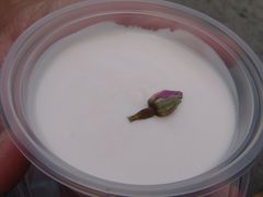 玫瑰酸奶-狐狸家·酸奶酪专门店(平江路店)