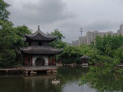 -水绘园