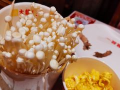 -大龙燚·旷野鲜火锅(广州首店)