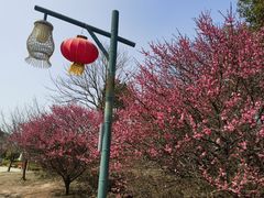 -原乡小镇度假乐园