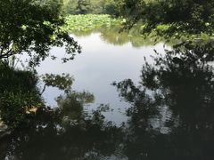 -西湖外事游船(花港观鱼码头)