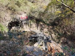 -宁波市保国寺古建筑博物馆