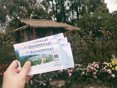 -南山植物园