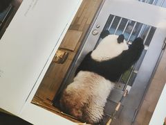 -三联韬奋书店(宽窄巷子店)