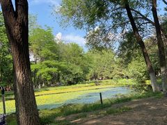 -长白岛森林公园