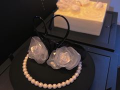 -BLACKSWAN黑天鹅(环球店)