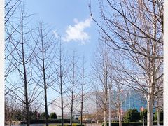 -北京园博大酒店