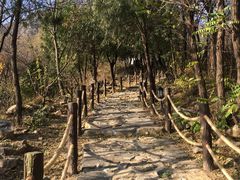 -阳台山自然风景区