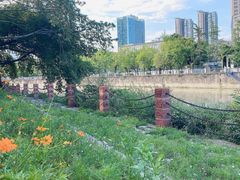 -成都市活水公园