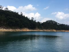 -广州市流溪河国家森林公园