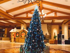 -长白山万达喜来登度假酒店