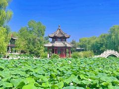 -莲池书院博物馆