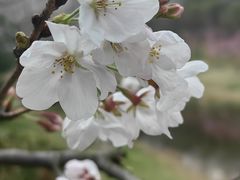 -堤角公园