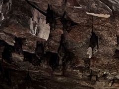 -宁波五龙潭景区