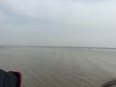 -观潮胜地公园