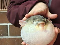 -永安鱼庄·镇江菜(东吴路店)