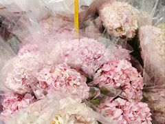 -循礼门鲜花花市(武汉循礼门店)