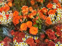 -循礼门鲜花花市(武汉循礼门店)