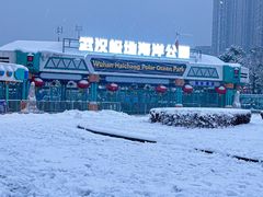 -海合安武汉极地海洋公园