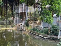 -小洲村