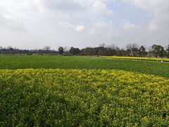 -中国天府农业博览园