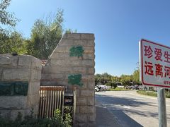 -绿堤公园