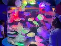 -太平洋海底世界