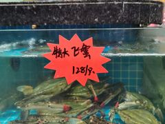 -渔码头食府(蓬莱阁店)