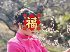 -香雪海