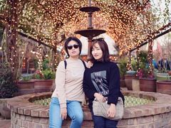 -The Grounds of Alexandria