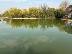 -终南山南五台景区