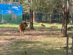 -秦皇岛野生动物园