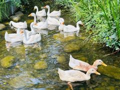 -太白山御龙湾温泉