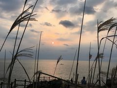 -枸杞岛