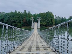 -东湖落雁景区