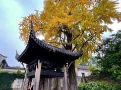 -惠山古镇·寄畅园