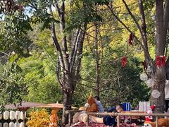 -HERRE·FARM 赫尔露营农场·团建聚会包场